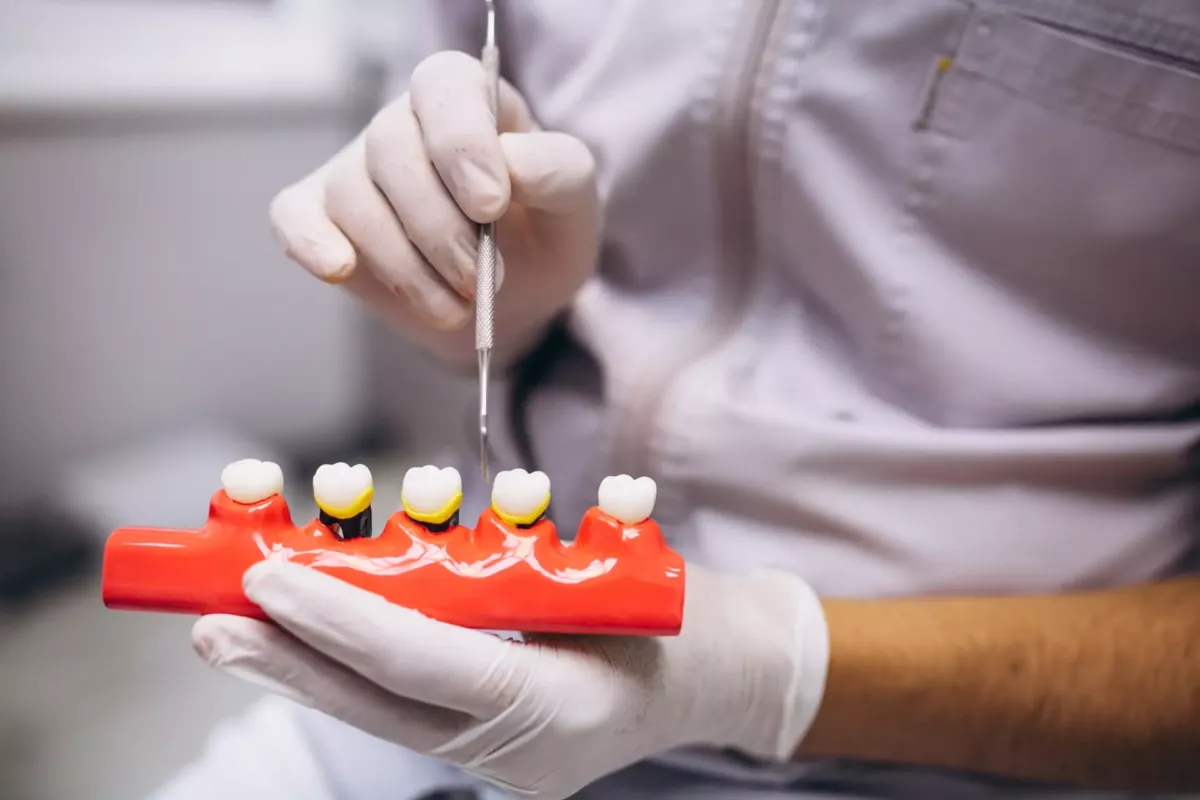 Dentista señalando una pieza dental en una reproducción bucal